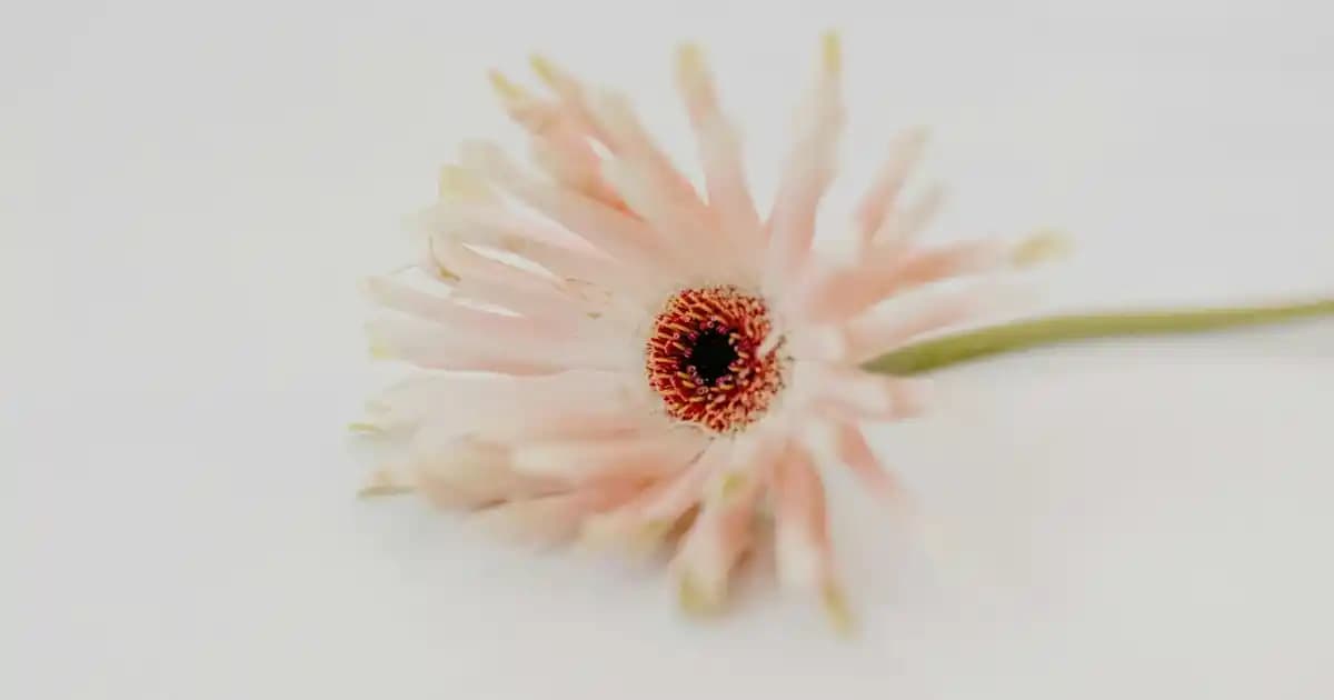 Redmi Note 16 Pro 2025: Gelişmiş Tasarım ve Yüksek Performanslı Akıllı Telefon