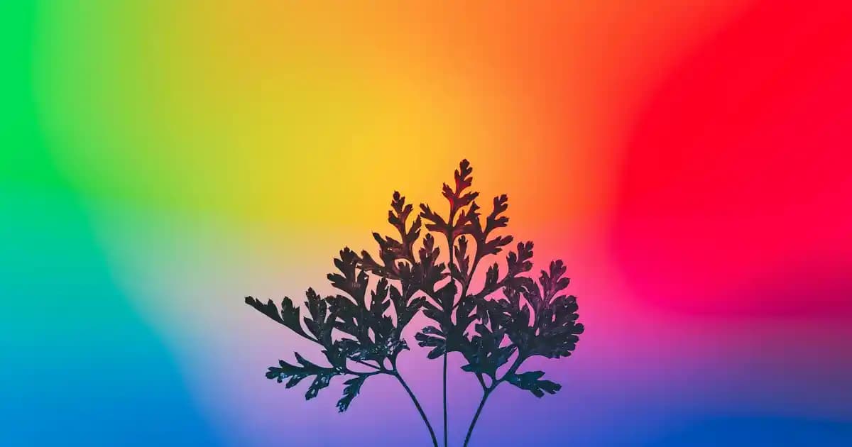 Redmi Note 8 Kamera Özellikleri ve Performansı: Orta Segmentte Dengeli Fotoğrafçılık