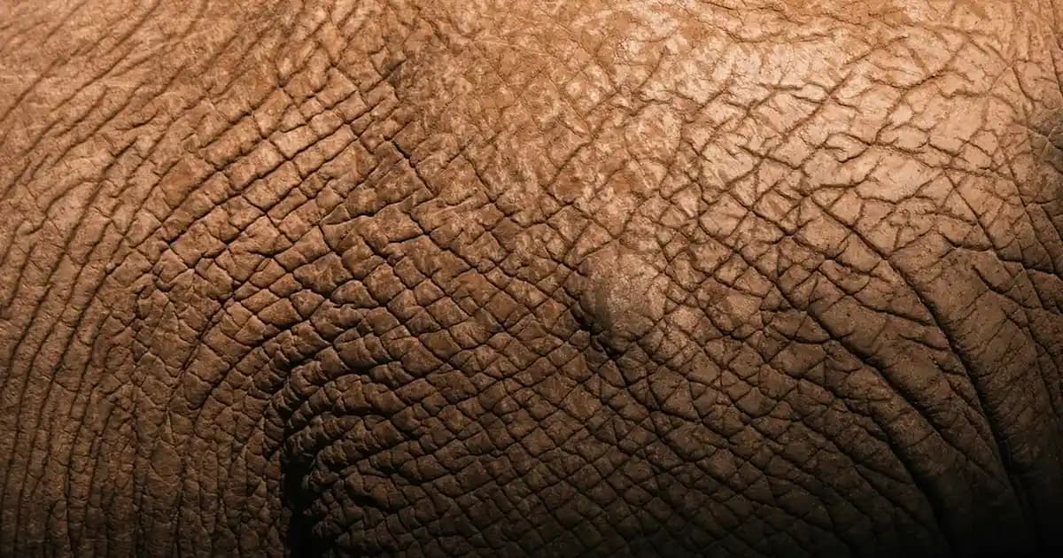 Robot Süpürge Ses Problemleri: Nedenleri ve Etkili Çözüm Yöntemleri