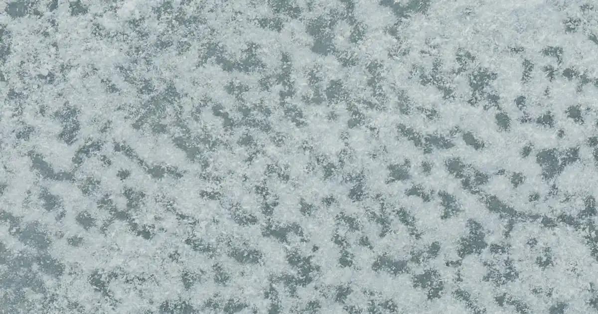 Samsung E1205Y: Dayanıklı ve Ekonomik Temel İhtiyaçlara Uygun Telefon Modeli