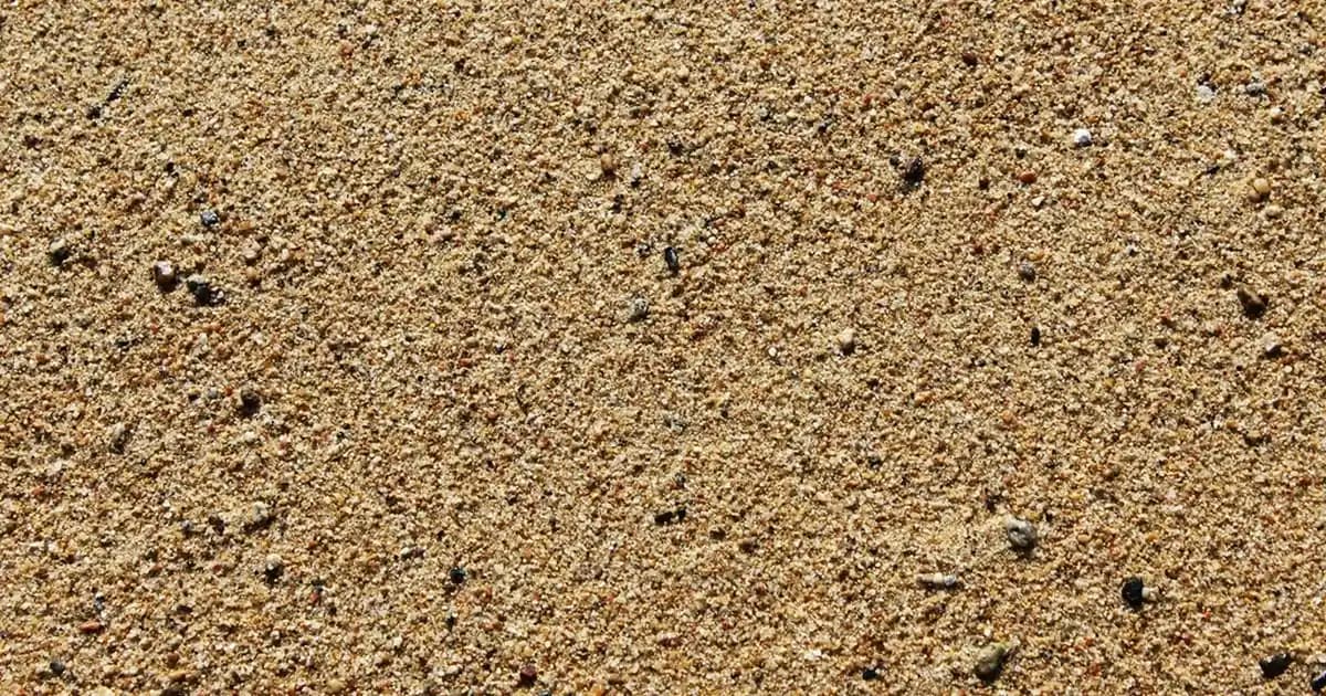 Samsung Galaxy S22 Serisi: 2022'nin En İyi Premium Akıllı Telefon Modelleri