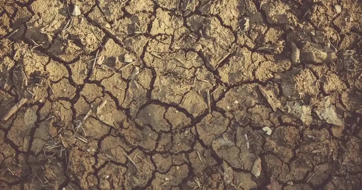 Samsung Galaxy Tab A7 10.4 inç Ekran Boyutu ve Teknolojik Özellikleri İncelemesi