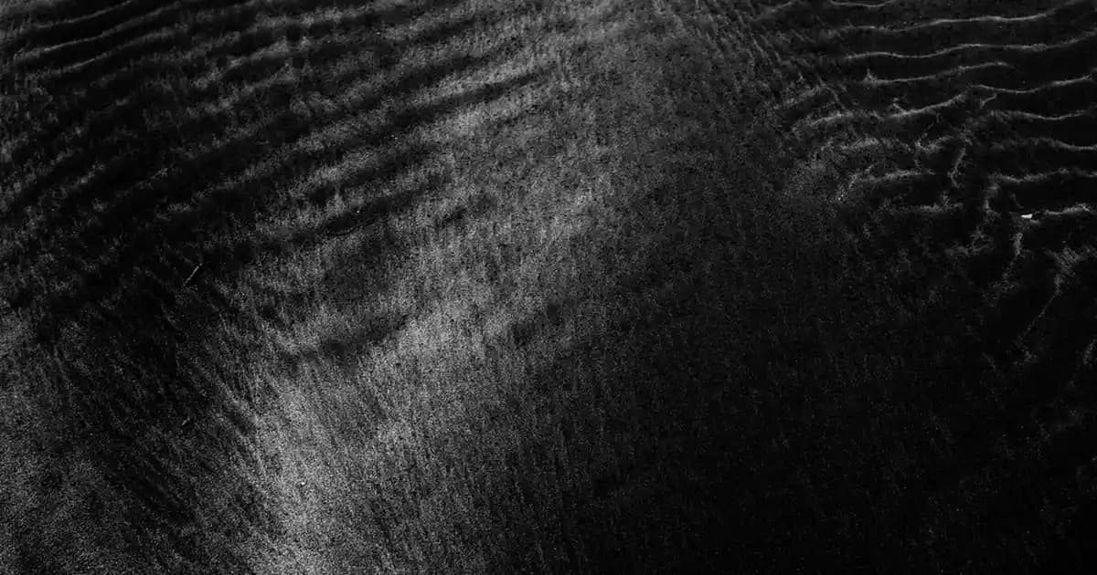 Samsung SM A205F Akıllı Telefon İncelemesi: Uygun Fiyatlı ve Fonksiyonel Modelin Detayları