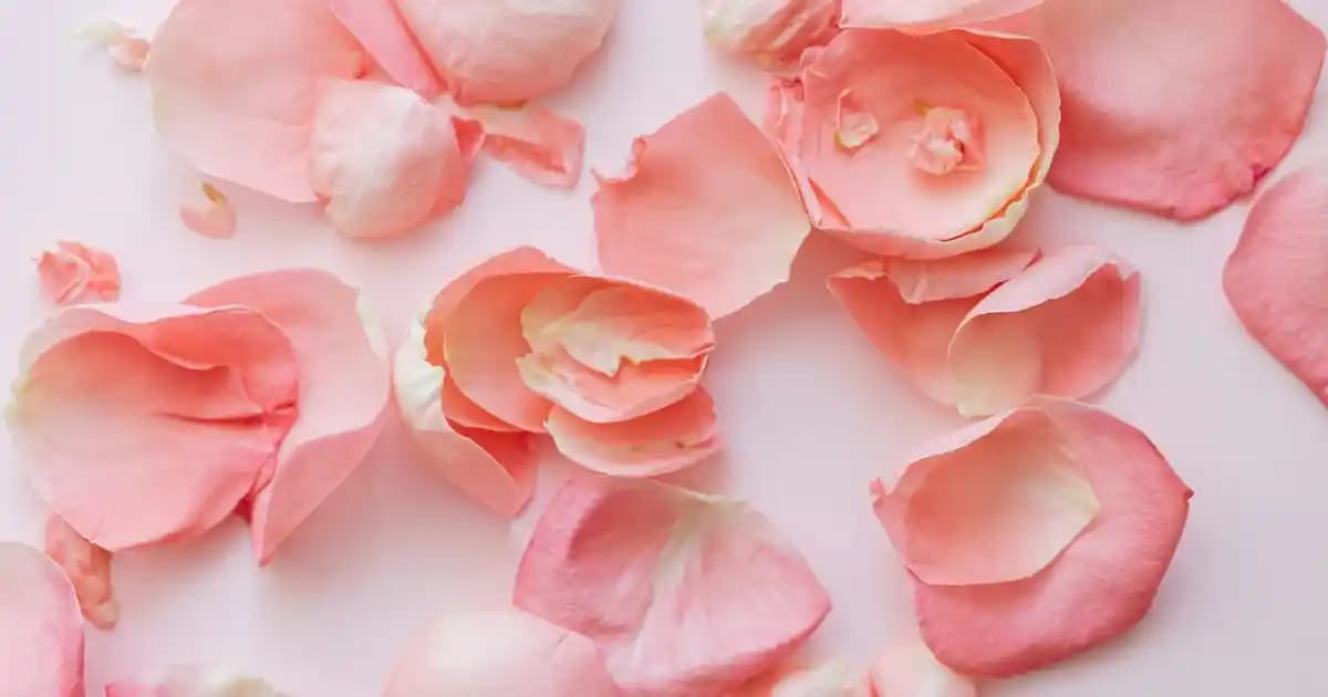 Samsung Telefon Bataryası: Performans, Teknoloji ve Uzun Ömürlü Kullanım Rehberi