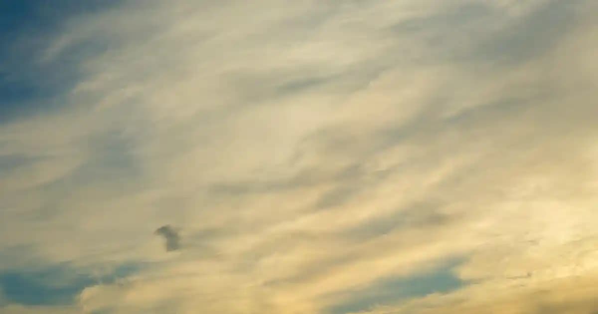 Samsung Telefon Kamera Ayarları Rehberi: Profesyonel Fotoğrafçılık İçin İpuçları ve Modlar