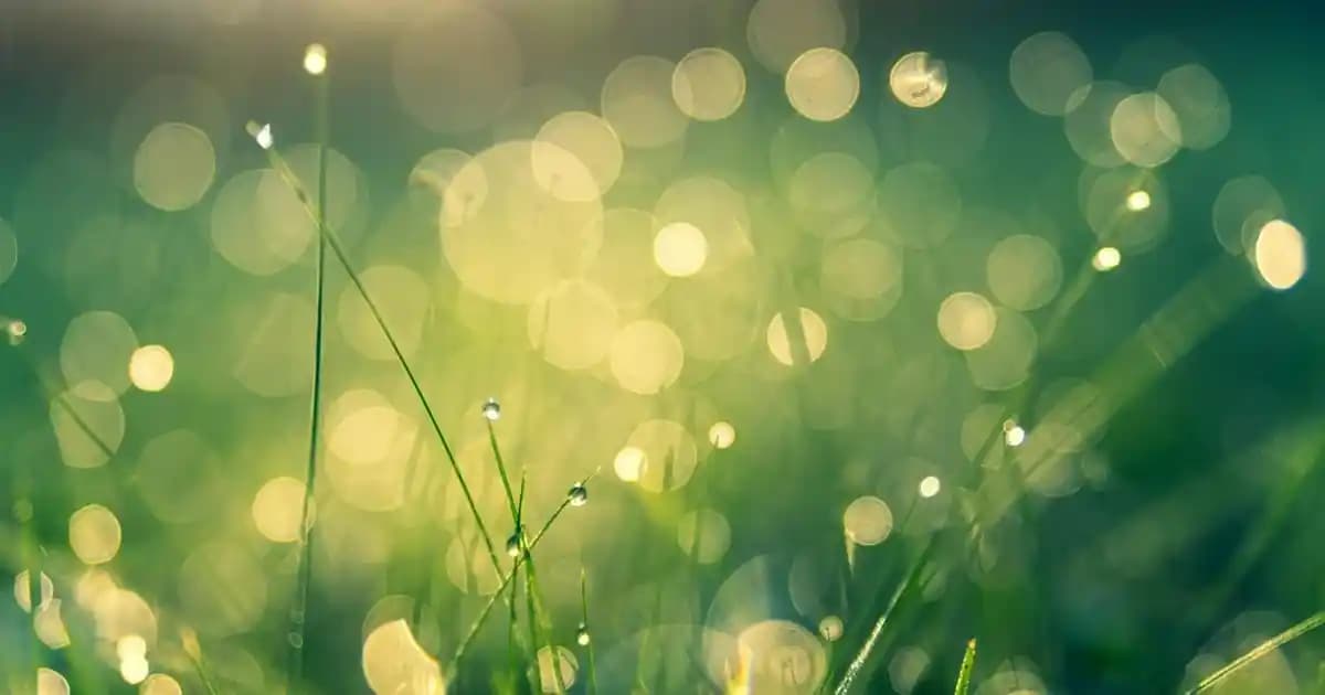 Samsung'un En İyi Akıllı Telefon Serileri: Galaxy S, Note ve Z Karşılaştırması