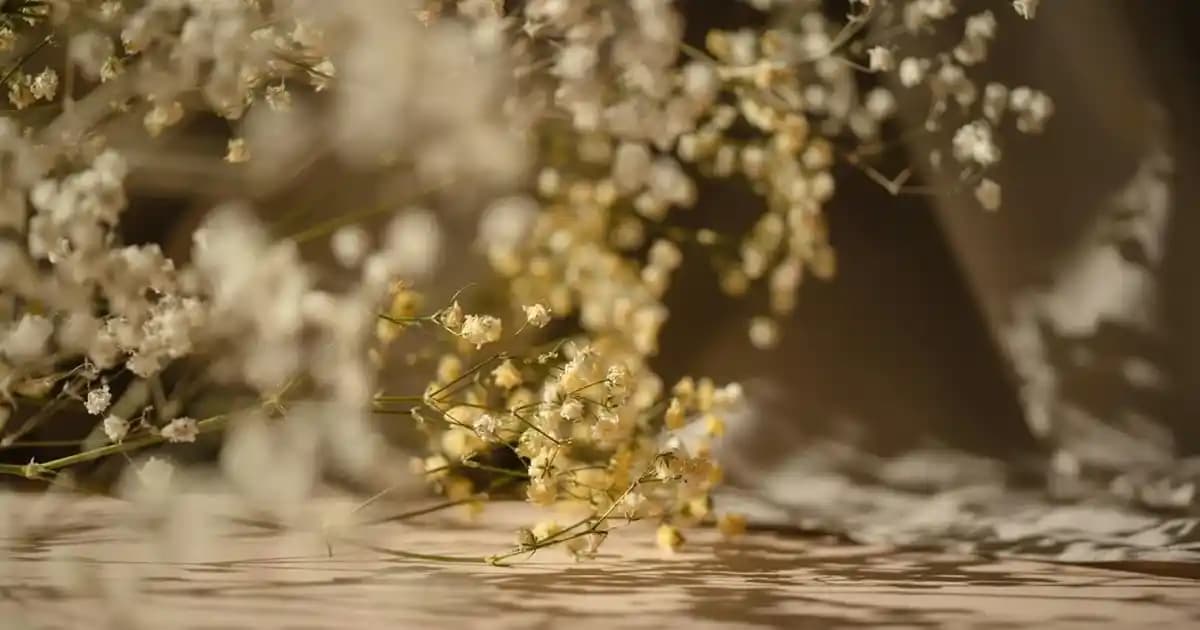 Saraydaroğlu Aksesuar: İletişim Numarası ve Geniş Teknoloji Ürün Yelpazesi