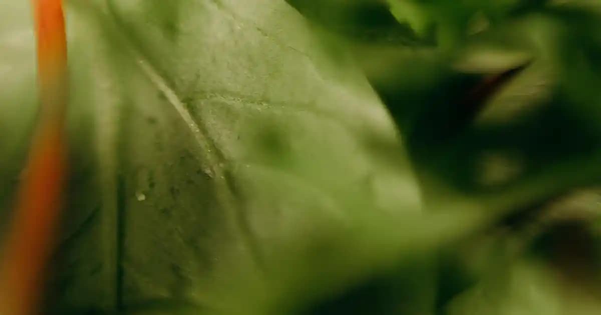 Sivas Vatan Computer: Geniş Ürün Yelpazesi ve Güvenilir Teknoloji Hizmetleri