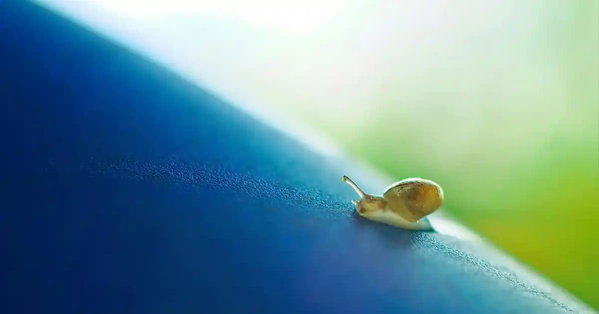 Snopy Speaker: Yüksek Ses Kalitesi ve Taşınabilirlikte Yenilikçi Hoparlör Çözümü