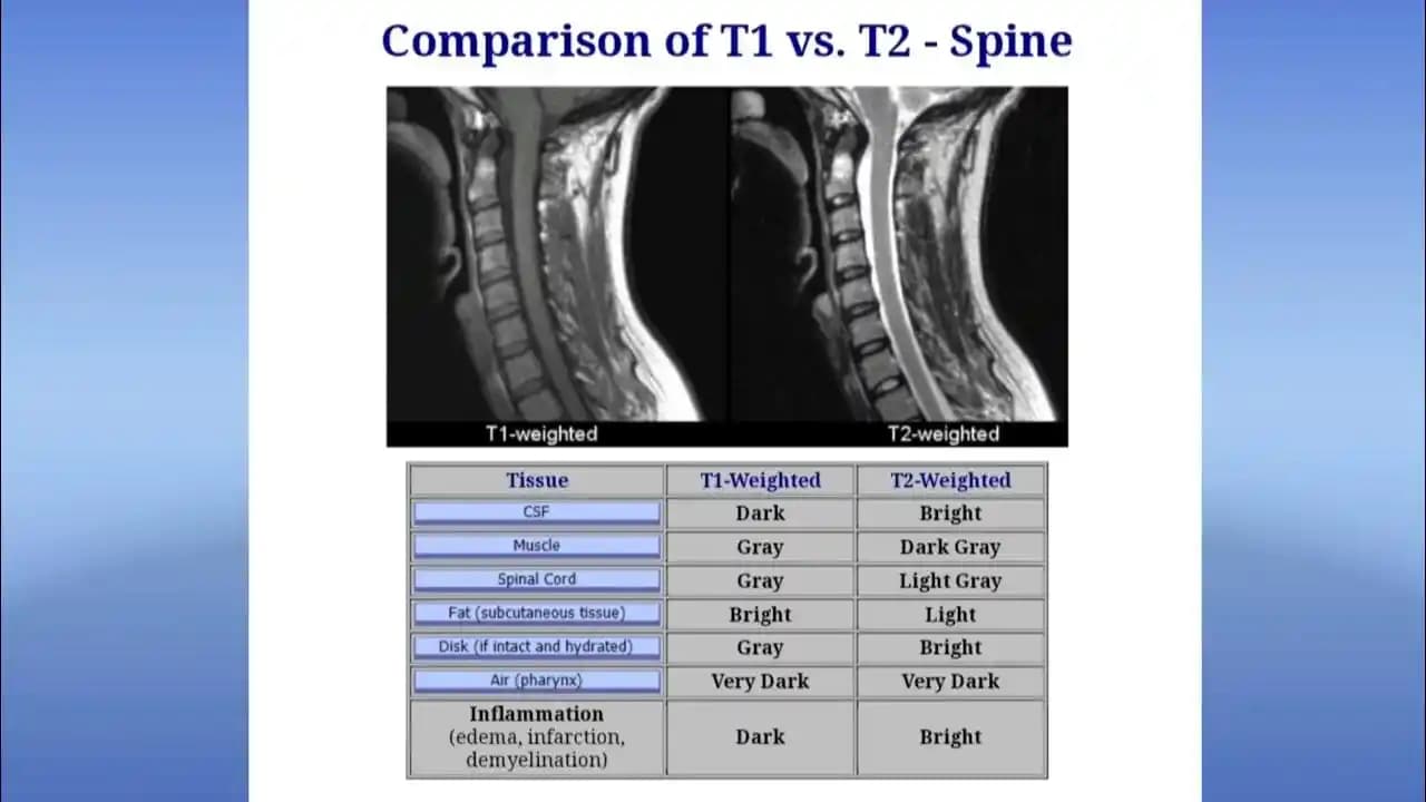 T1, T2 ve T3 Saatleri: Akıllı Saat Teknolojisinde Performans ve Kullanıcı Deneyimi