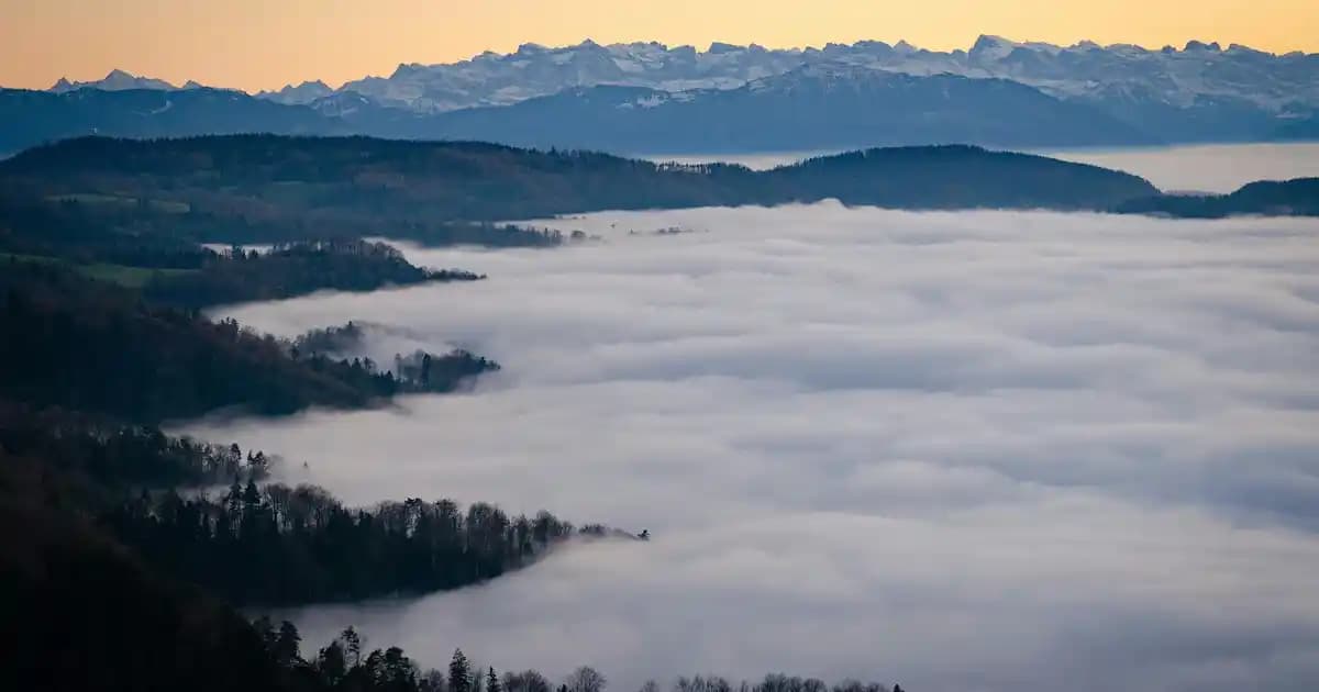 TCL Connect: Akıllı Cihazlar Arasında Güçlü ve Kesintisiz Bağlantı Çözümü
