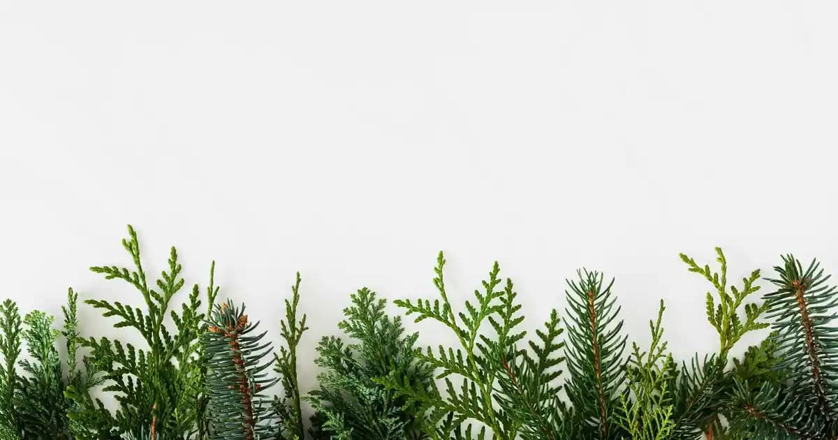 Tefal Blender Bıçağı Düşme Sorunu: Nedenleri, Çözümleri ve Önleyici İpuçları