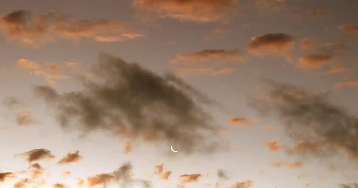 Telefon İşaretleri ve Anlamları: Akıllı Cihazlarınızda Gizli Mesajları Keşfedin