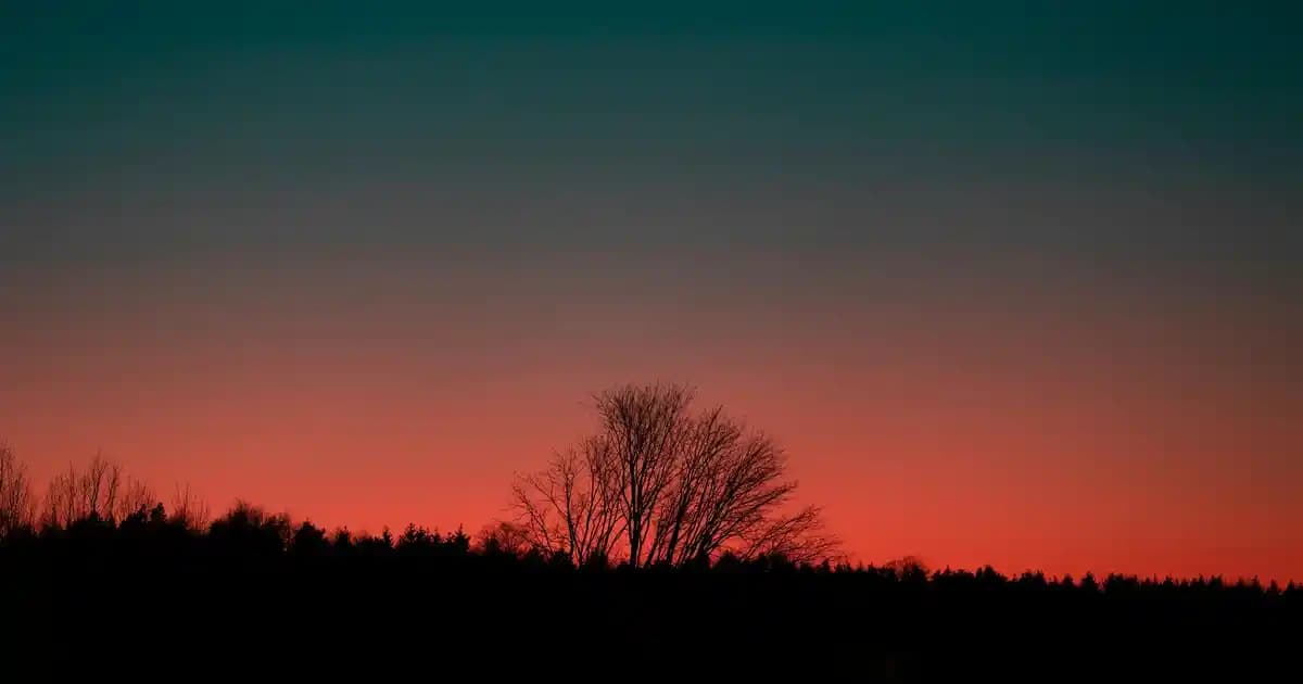 Telefon Özellikleri Karşılaştırma: Performans, Kamera ve Pil Seçiminde Rehber