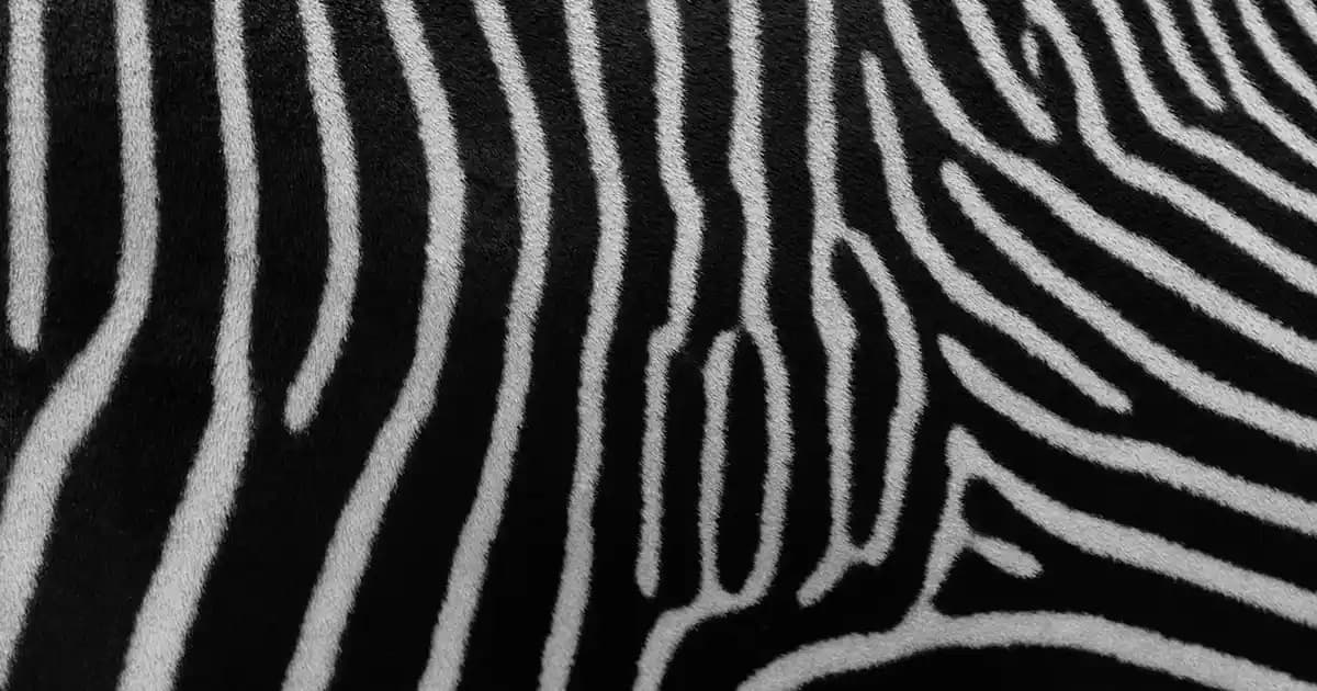 Telefondan Telefona İnternet Paylaşımı: Wi-Fi, Bluetooth ve USB Yöntemleri