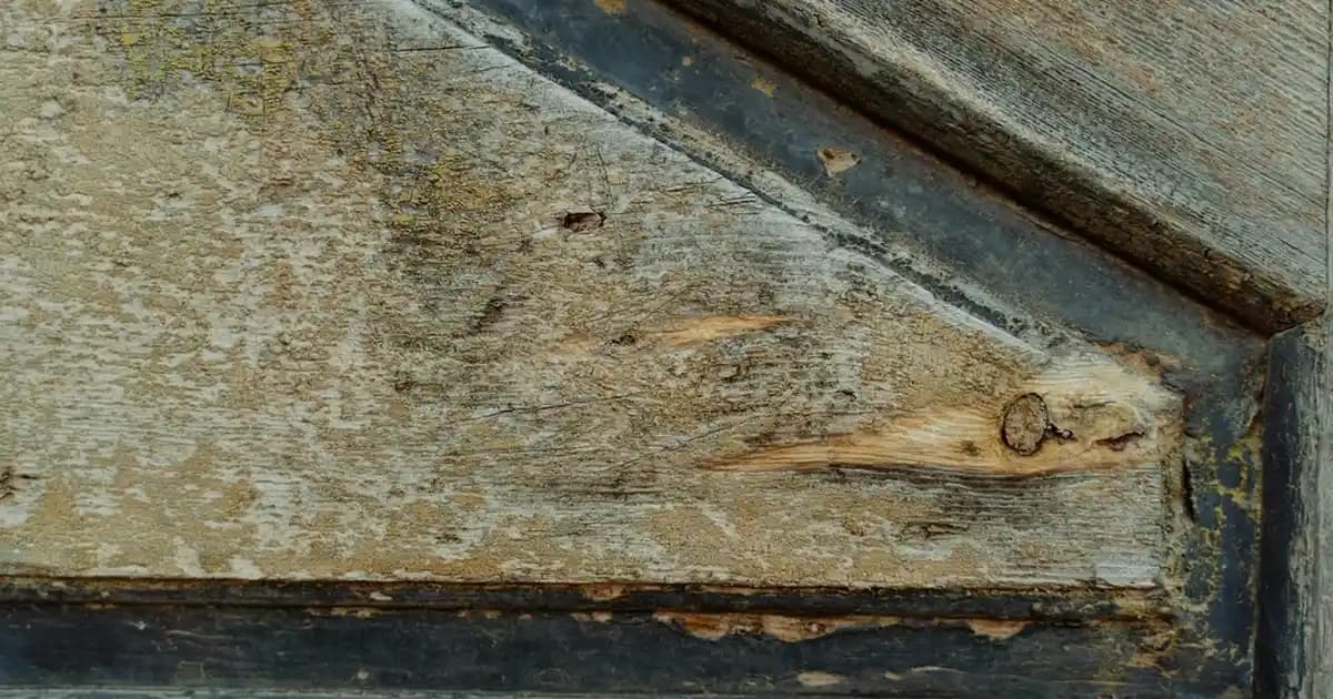 Tizen Nedir? Esnek ve Açık Kaynaklı İşletim Sistemi Özellikleri ve Kullanım Alanları