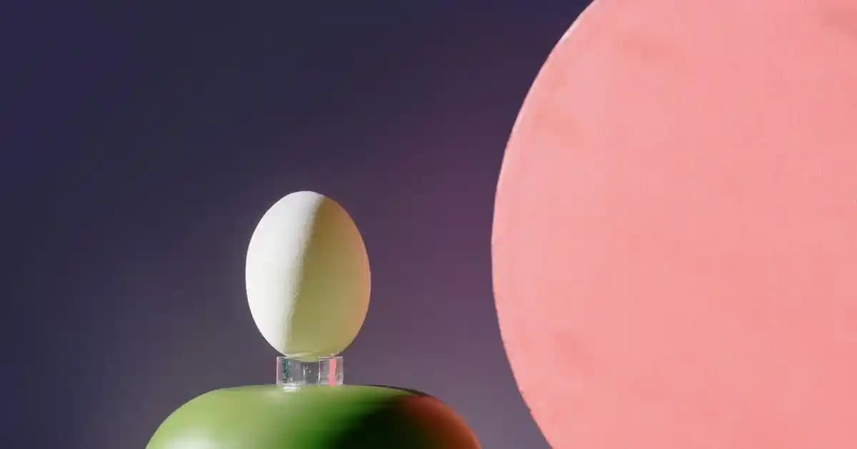 Turbox Anakart: Yüksek Performans ve Geniş Uyumluluk Sunan Modern Anakart