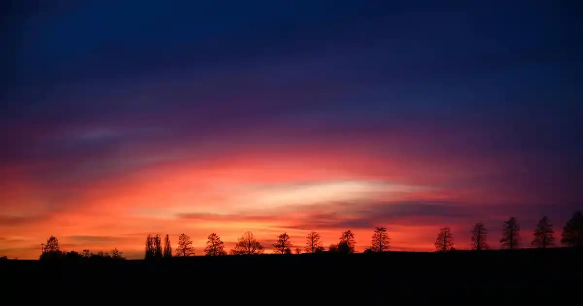 Türkçe Q Klavyede Gmail'de '@' İşareti Nasıl Yazılır? Pratik Yöntemler