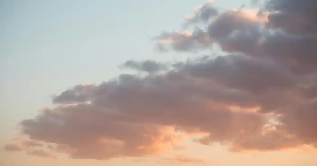 Türkiye'de Elektrik Hizmetleri ve Abonelik Yönetimi: Doğu Anadolu Rehberi