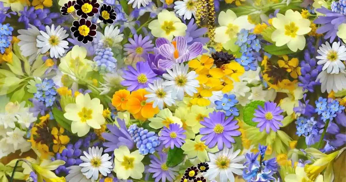 Tuşlu Telefonlar: Basitlik, Dayanıklılık ve Uzun Pil Ömrüyle Klasik İletişim Çözümü