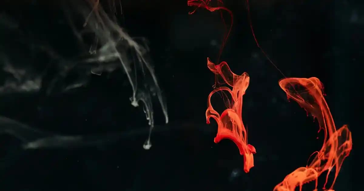 TV Plus Televizyona Nasıl Bağlanır? Adım Adım Detaylı Bağlantı Rehberi