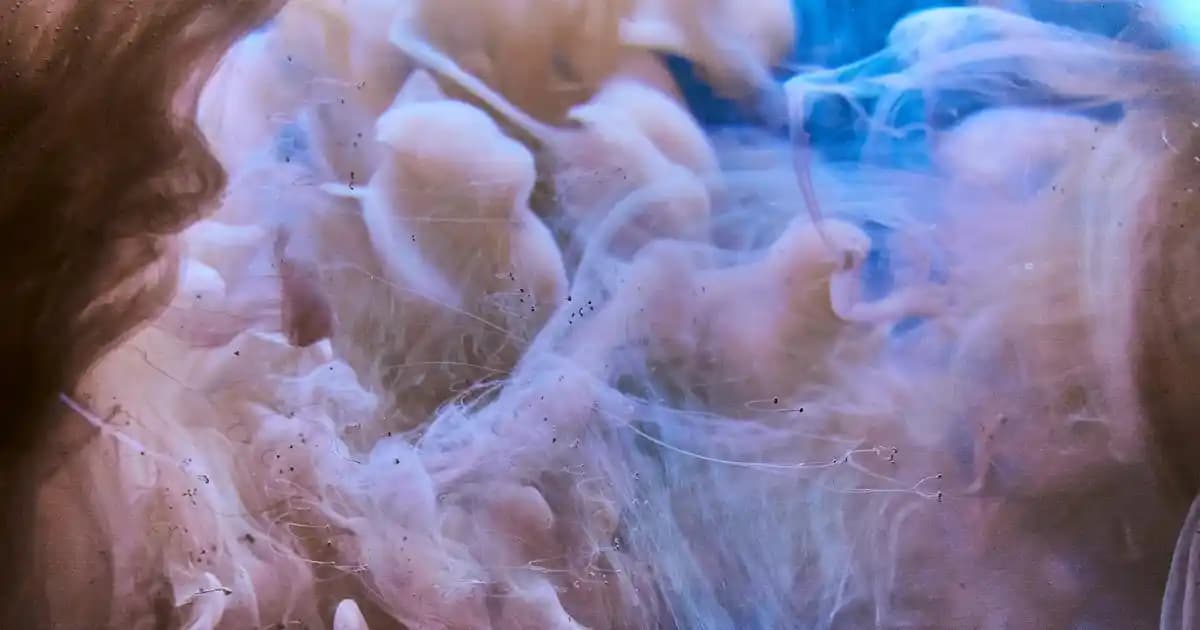 USB Type-C Kablo Renkleri ve Anlamları: Doğru Kablo Seçimi İçin Rehber