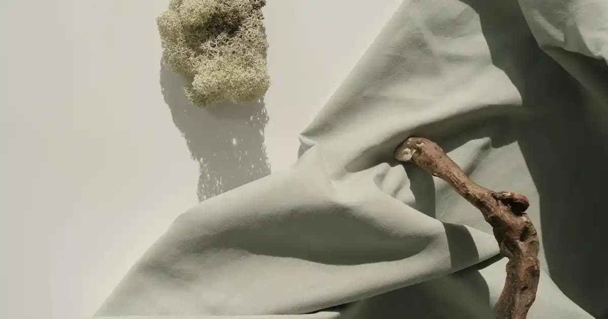 Xiaomi Mi 11 Ultra: Üst Düzey Kamera, Performans ve Tasarım Özellikleri