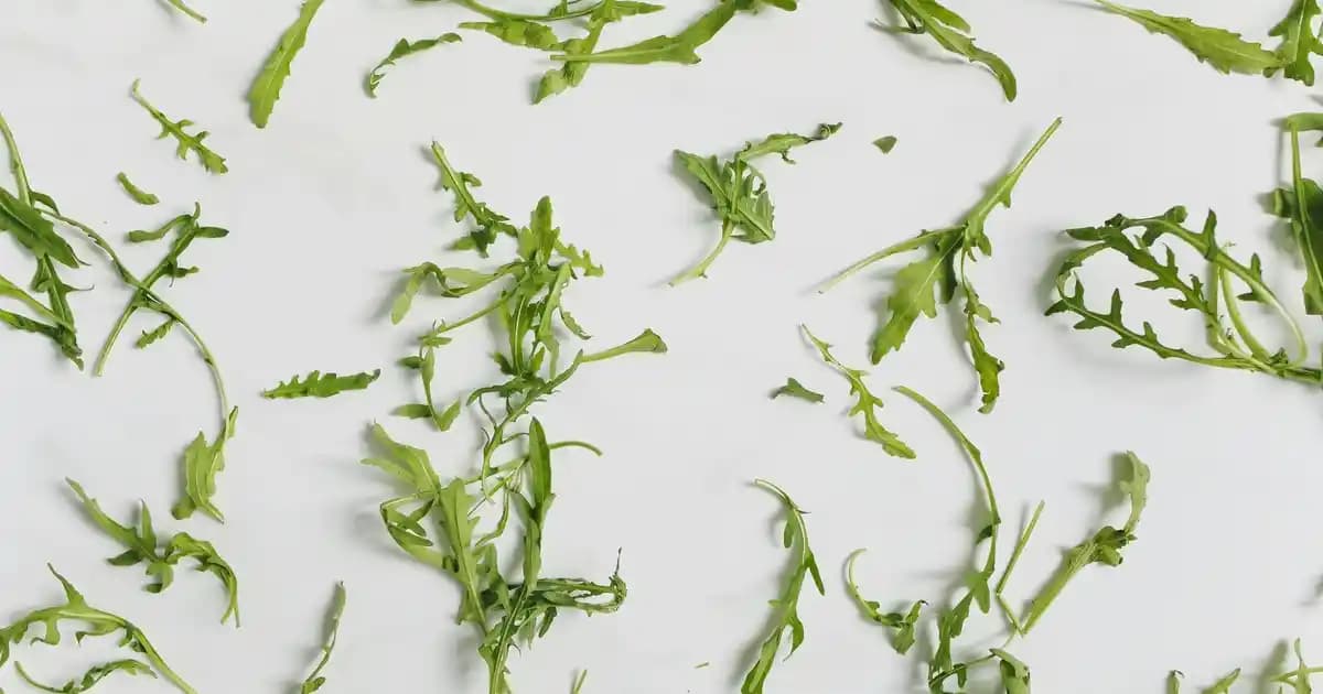 Xiaomi Mi 15T Pro IMEI Kaydı ve Yasal Durum: Türkiye'de Bilmeniz Gerekenler