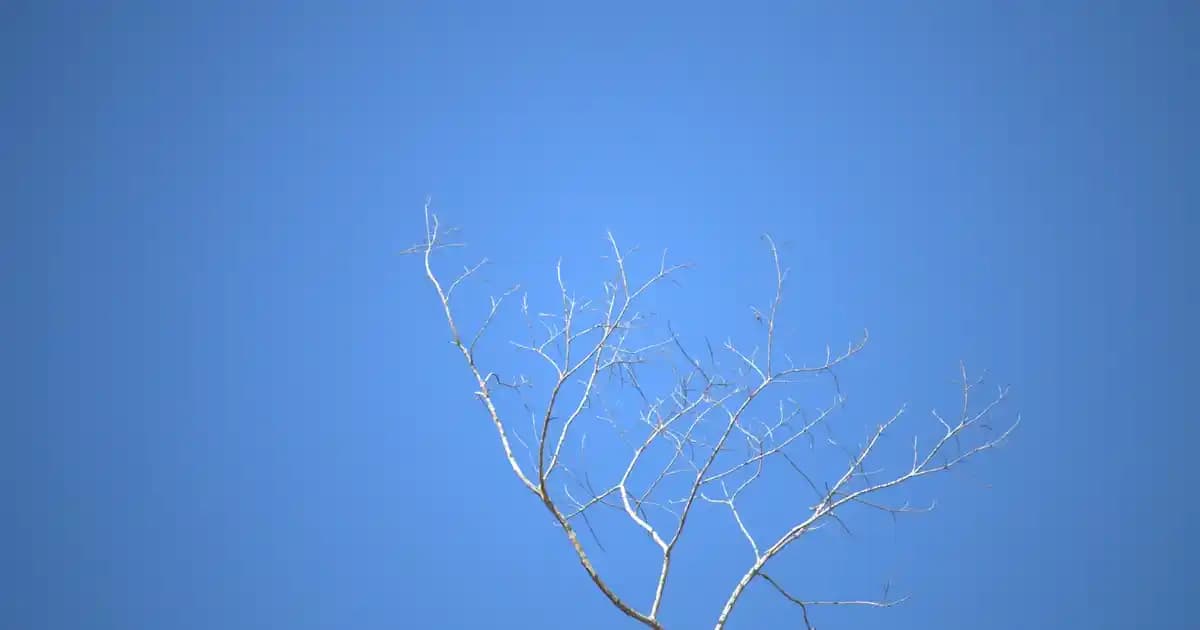 Xiaomi Redmi Note 8 128 GB: Orta Segmentte Dengeli Performans ve Çok Yönlü Özellikler