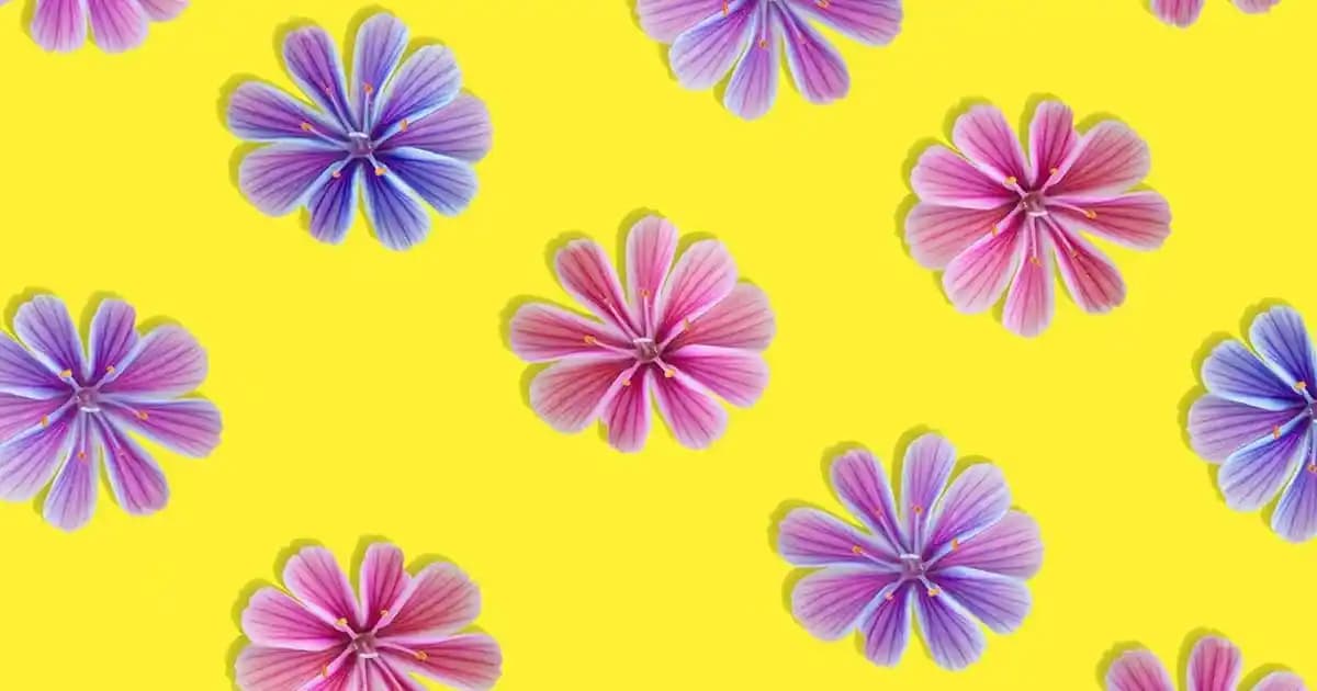 Uzaktan Başka Telefona Bağlanma Yöntemleri ve Güvenlik Önlemleri Hakkında Detaylı Rehber