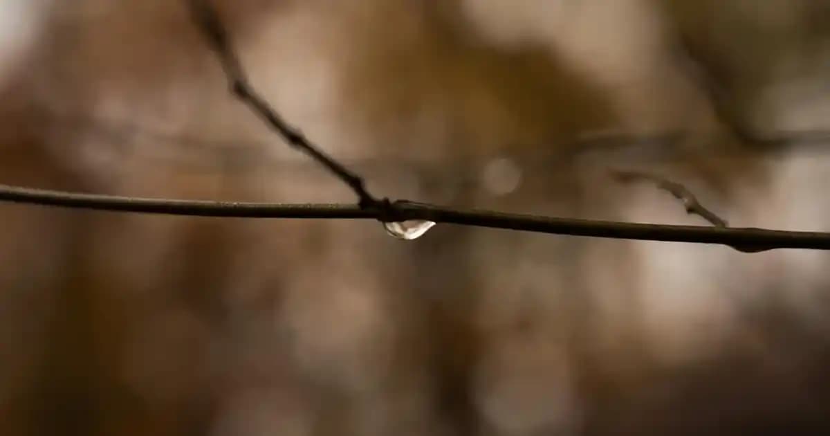 Vestel Akıllı Saat Kırmızı: Şık Tasarım ve Fonksiyonel Teknoloji Buluşması