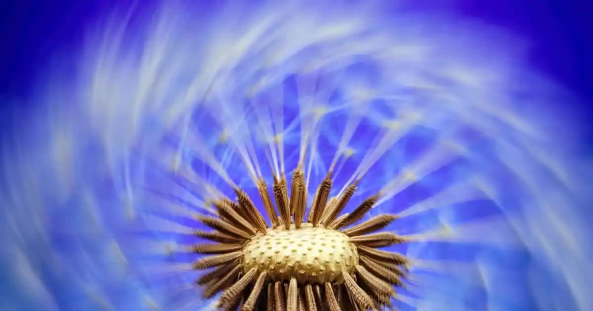 VoLTE Hizmeti Nedir? Akıllı Telefonlarda Yüksek Kaliteli Ses İletiminin Yeni Standardı