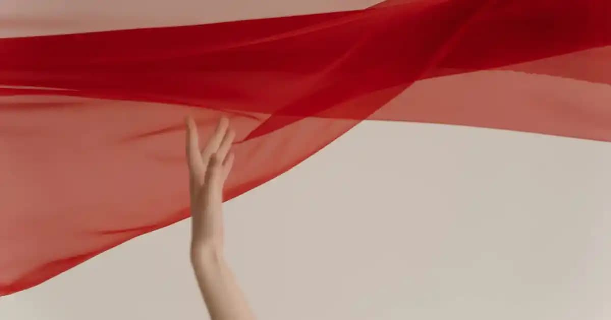 WhatsApp Durum Resmi Ekran Görüntüsü Alındığında Bildirim Gider Mi? Güncel Bilgi