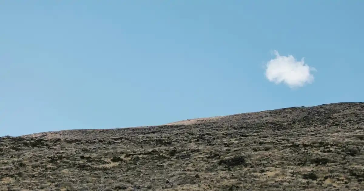 WhatsApp Durumdan Ekran Görüntüsü Alma Engelleme ve Gizlilik Koruma Yöntemleri