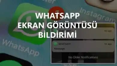 WhatsApp Ekran Görüntüsü Alındığında Bildirim Gider Mi? Gizlilik ve Kullanıcı Rehberi
