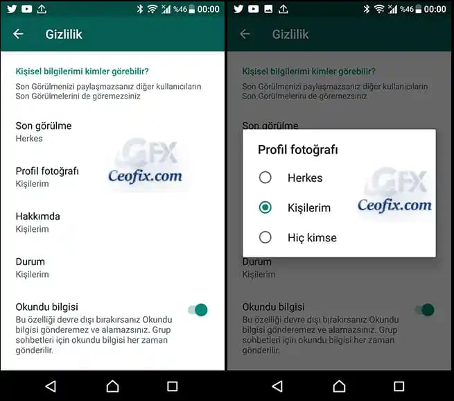 WhatsApp Profil Fotoğrafı Görünürlüğü ve Gizlilik Ayarları Hakkında Kapsamlı Rehber