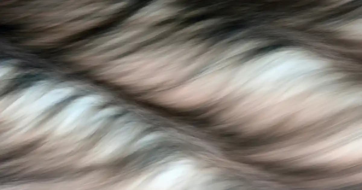 WhatsApp'ta Profil Resmi Ekran Görüntüsü Alma: Teknik, Gizlilik ve Etik Boyutlar