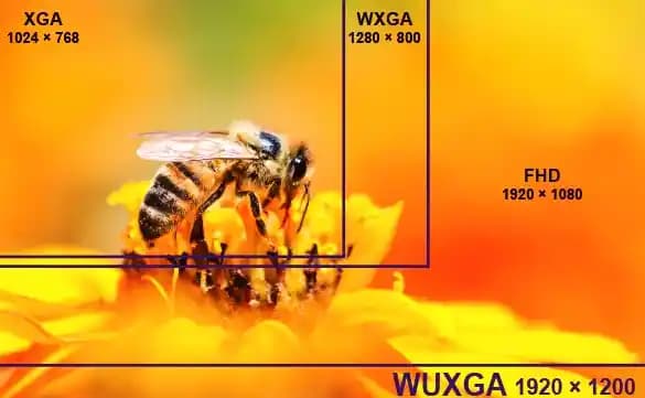 WUXGA Nedir? 1920x1200 Çözünürlük ve 16:10 En Boy Oranının Teknik İncelemesi