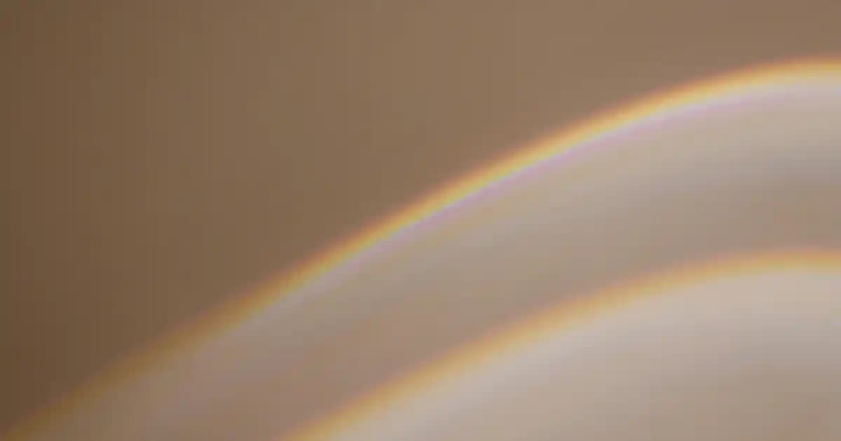 Y36 Akıllı Telefon İncelemesi: Orta Segmentte Dengeli Performans ve Tasarım