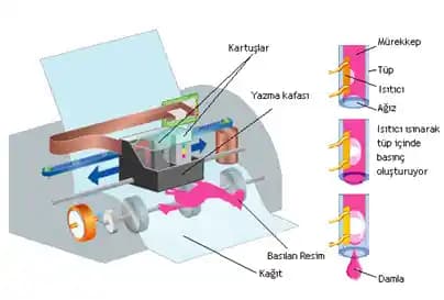 Yazıcıların Görevleri ve Teknolojideki Rolü: Türler, İşlevler ve Güncel Gelişmeler