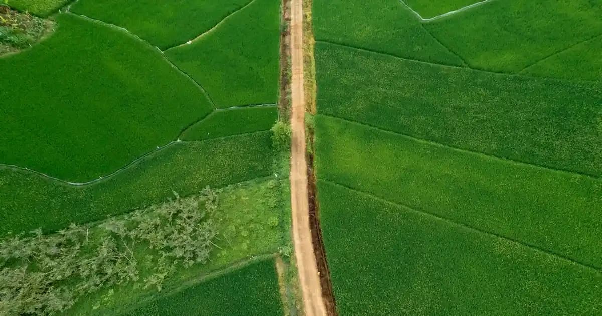 Yurtdışından iPad Almanın Avantajları, Dikkat Edilmesi Gerekenler ve İpuçları