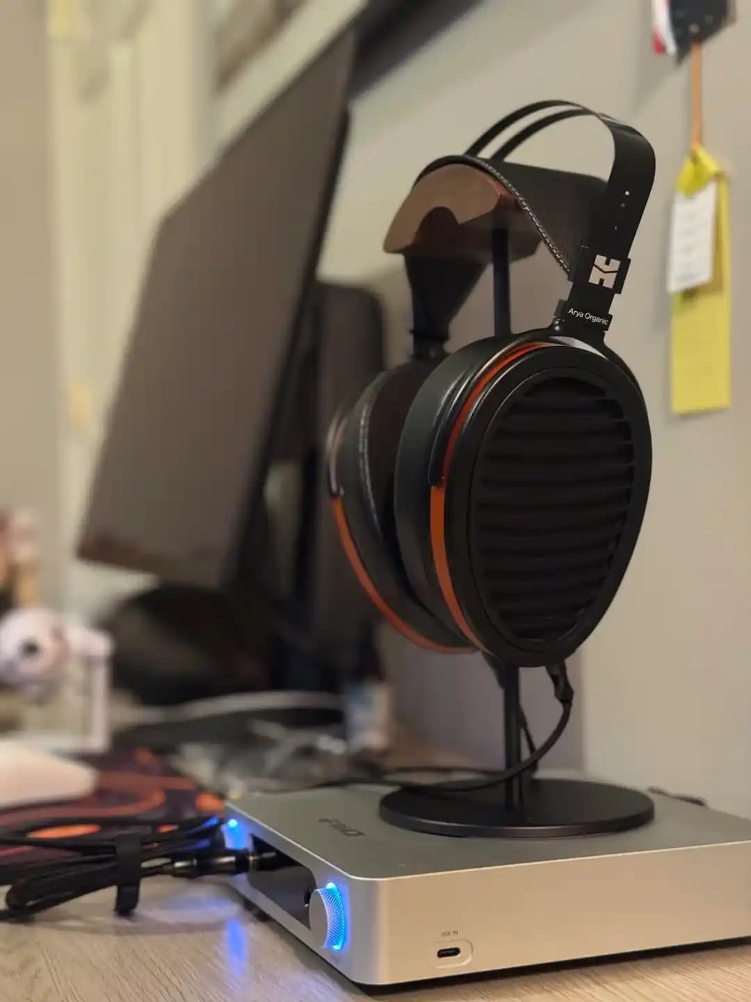 Arya Organic Kulaklık ve Fiio K13 R2R Amplifikatör ile Üst Düzey Ses Deneyimi