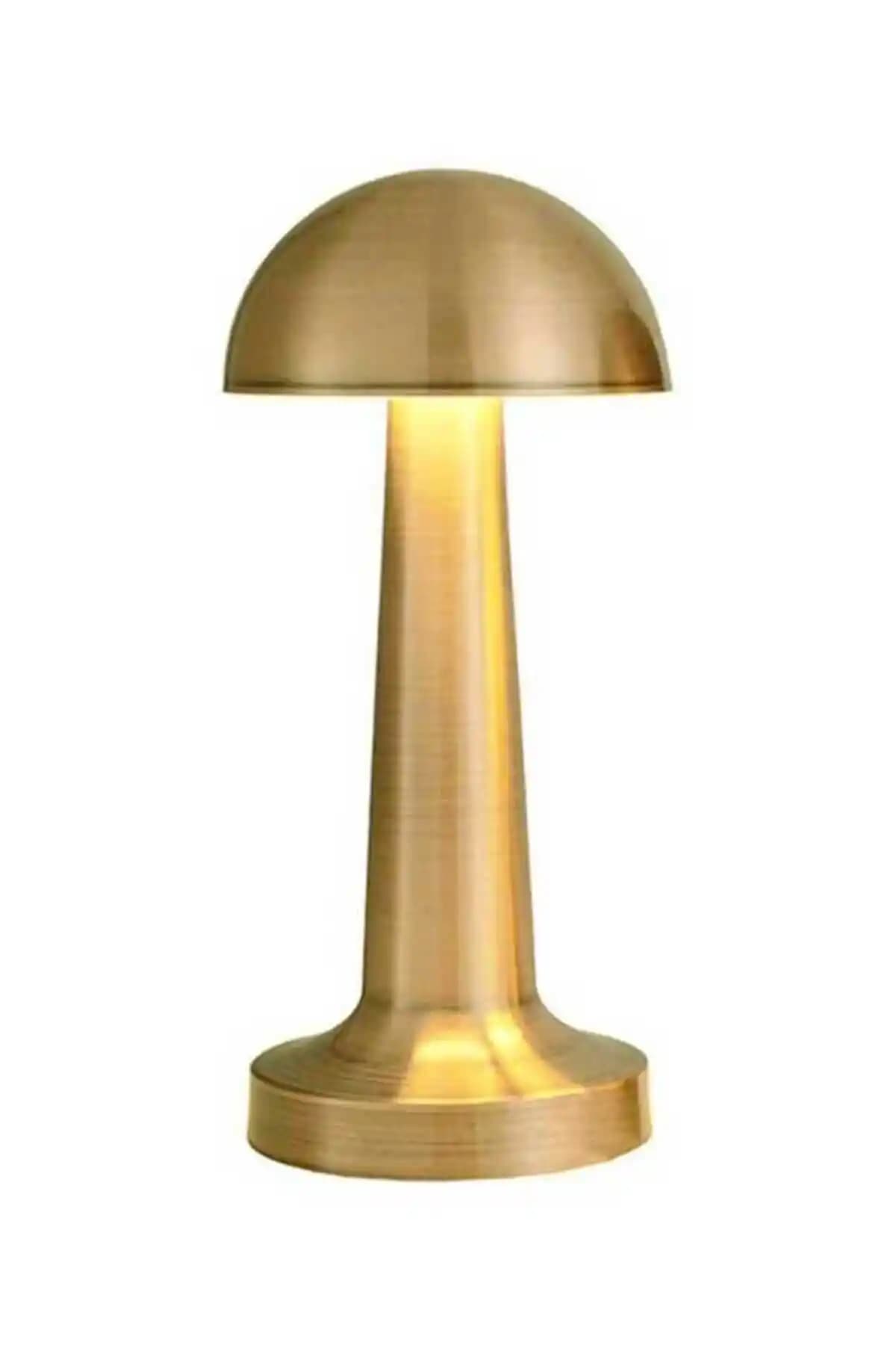 Thestrex FL-8055 Mix Seyhan Şarjlı LED Masa Lambası Modern ve Taşınabilir Tasarım